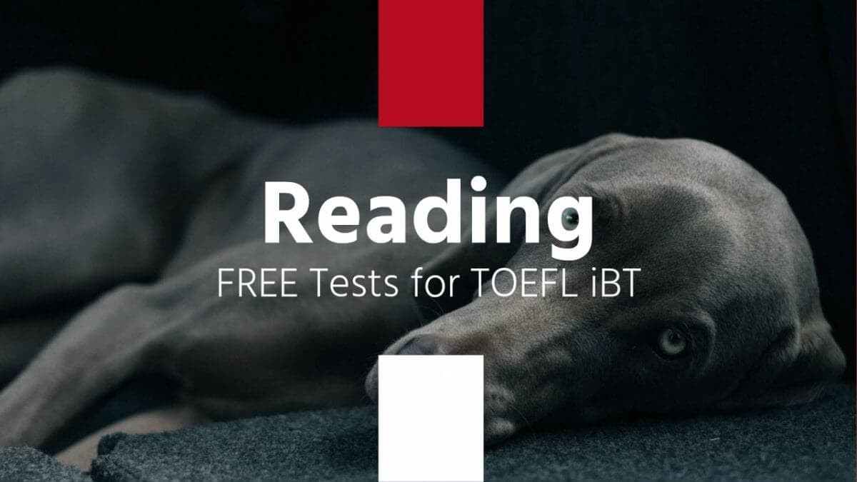 reading-toefl-free-test
